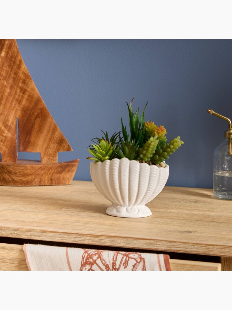 Plante artificielle avec pot coquillage OCEA Blanc - Kiabi