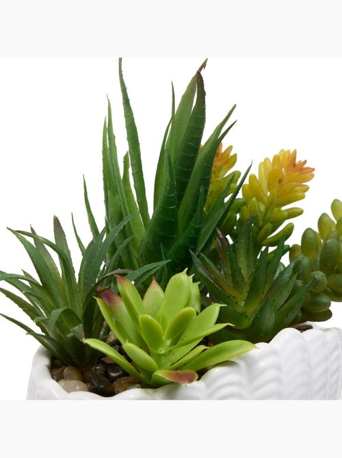 Plante artificielle avec pot coquillage OCEA - Kiabi