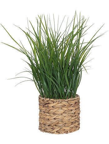 Plante artificielle avec pot en jacinthe d'eau tressée moda