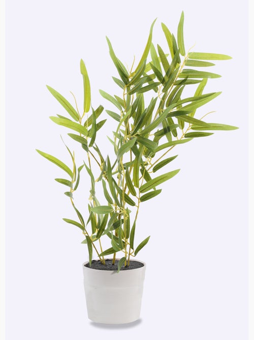 Plante artificielle Bambou + pot effet béton - AFIBEL - Kiabi Plante artificielle Bambou + pot effet béton - AFIBEL - Kiabi