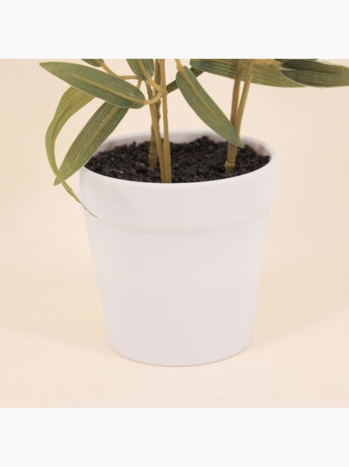 Plante artificielle Bambou + pot effet béton - AFIBEL - Kiabi Plante artificielle Bambou + pot effet béton - AFIBEL - Kiabi