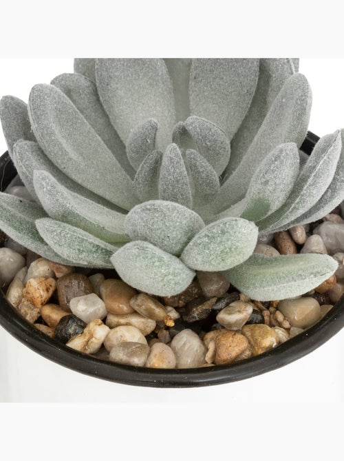 Plante artificielle - Kiabi