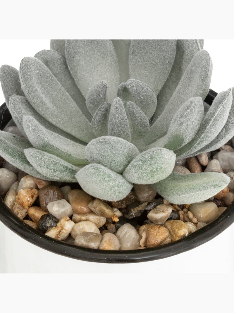 Plante artificielle Blanc - Kiabi