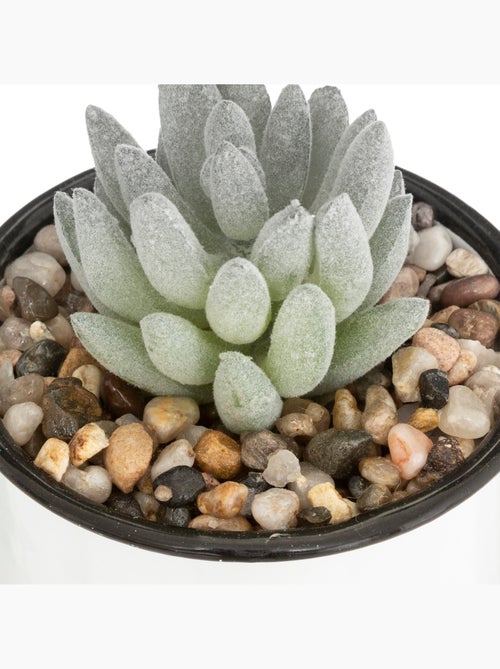 Plante artificielle - Kiabi