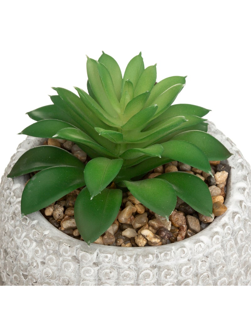Plante artificielle BOUDDHA Blanc - Kiabi