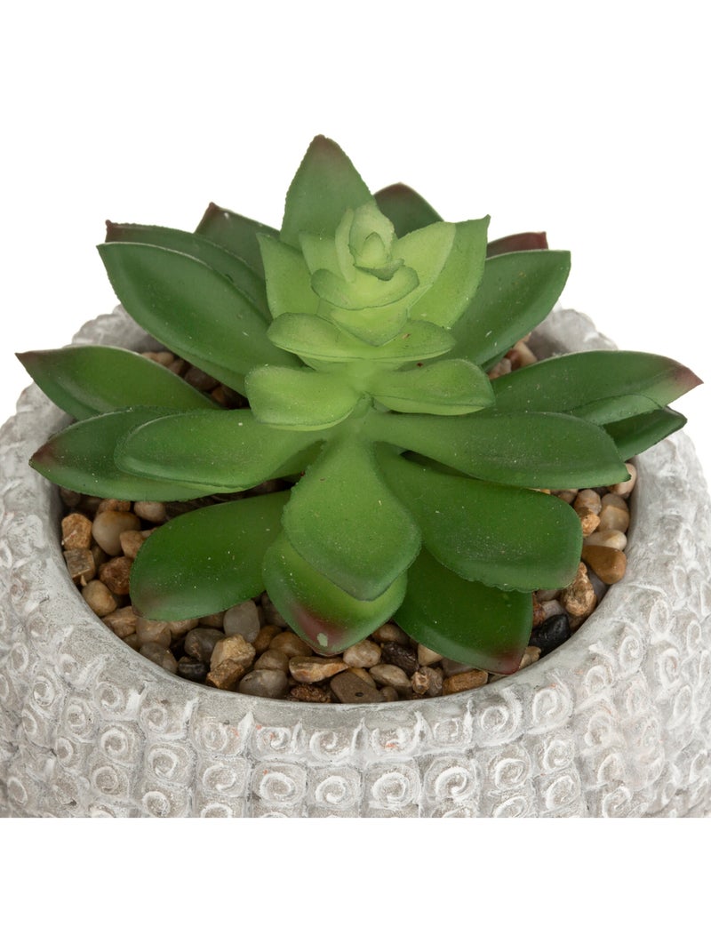 Plante artificielle BOUDDHA Blanc - Kiabi