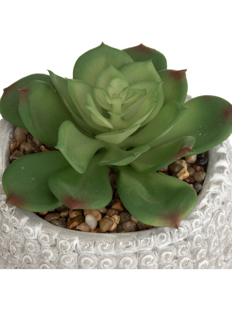 Plante artificielle BOUDDHA Blanc - Kiabi
