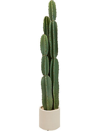 Plante artificielle cactus sien