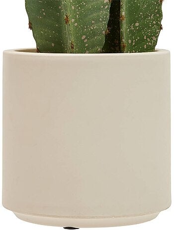 Plante artificielle cactus sien
