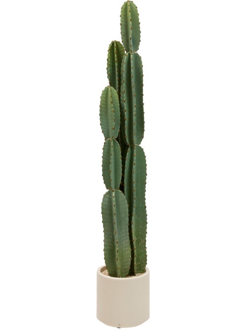 Plante artificielle cactus SIEN - Kiabi Plante artificielle cactus SIEN - Kiabi