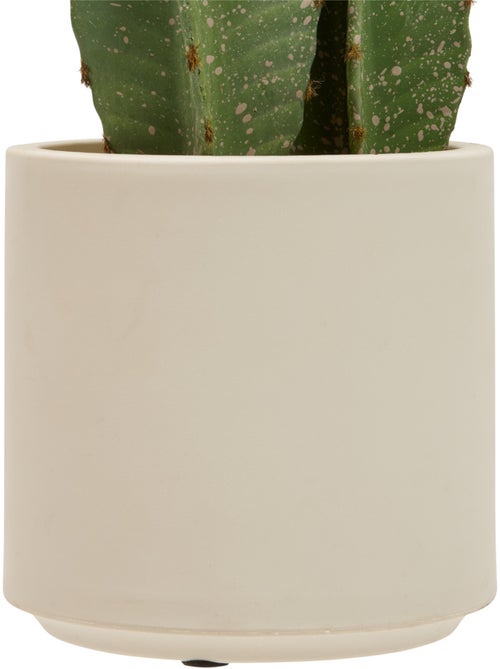 Plante artificielle cactus SIEN - Kiabi Plante artificielle cactus SIEN - Kiabi
