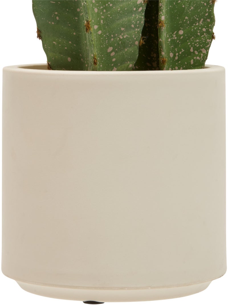 Plante artificielle cactus SIEN Vert - Kiabi
