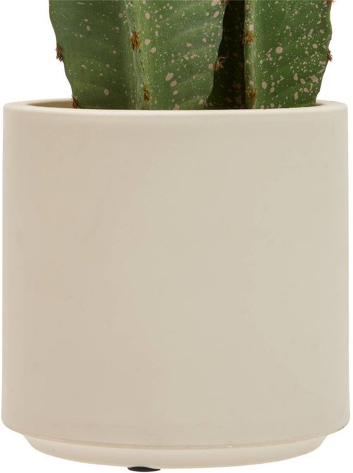 Plante artificielle cactus SIEN - Kiabi Plante artificielle cactus SIEN - Kiabi