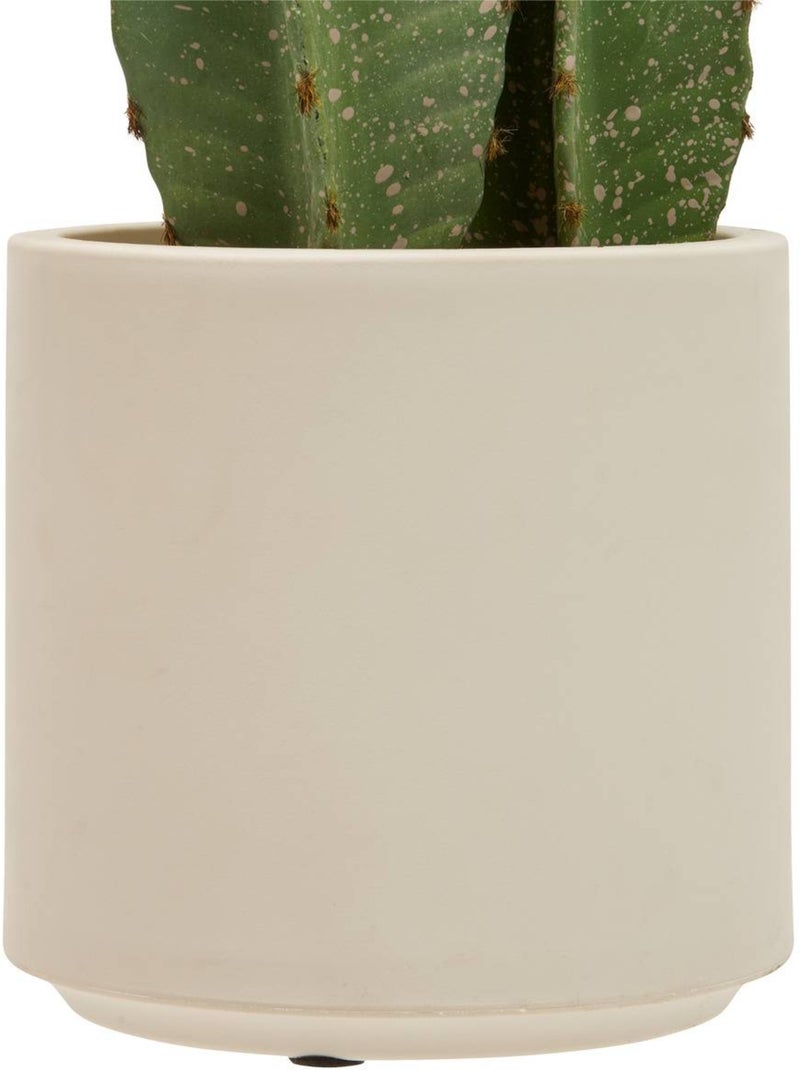 Plante artificielle cactus SIEN Vert - Kiabi