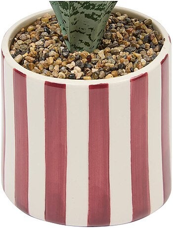 Plante artificielle cheri