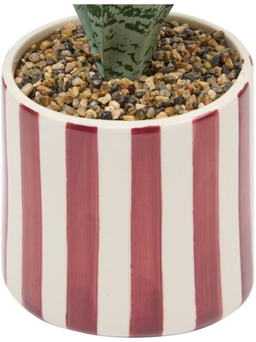 Plante artificielle cheri - Kiabi