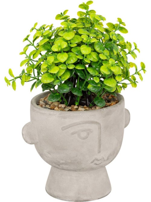 Plante artificielle DUSTY - Kiabi