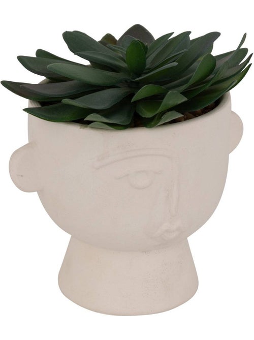 Plante artificielle DUSTY - Kiabi