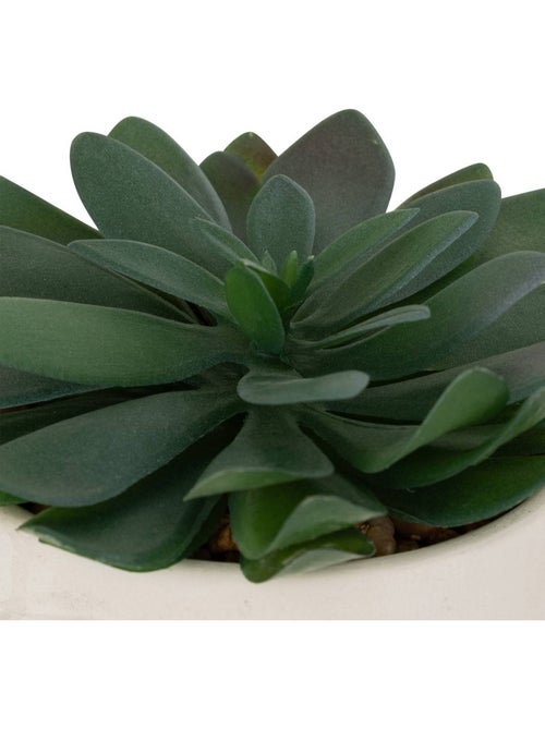 Plante artificielle DUSTY - Kiabi