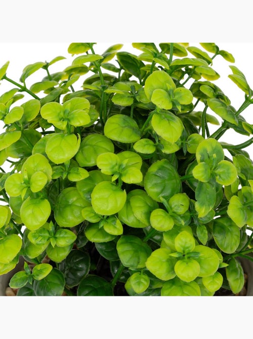 Plante artificielle DUSTY - Kiabi