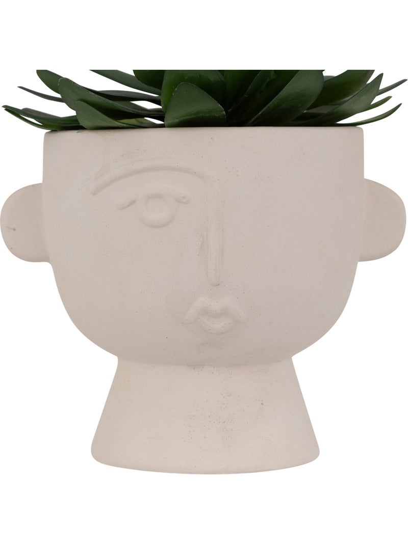Plante artificielle DUSTY Multicolore - Kiabi