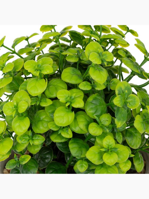 Plante artificielle DUSTY - Kiabi