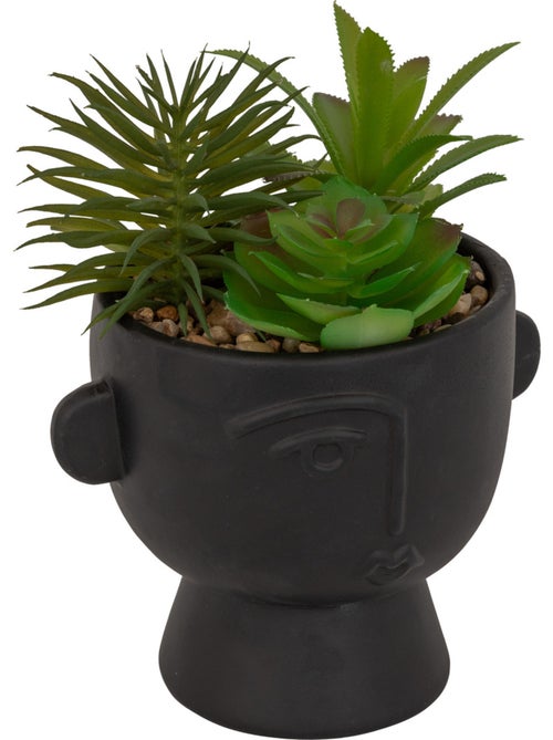 Plante artificielle DUSTY - Kiabi