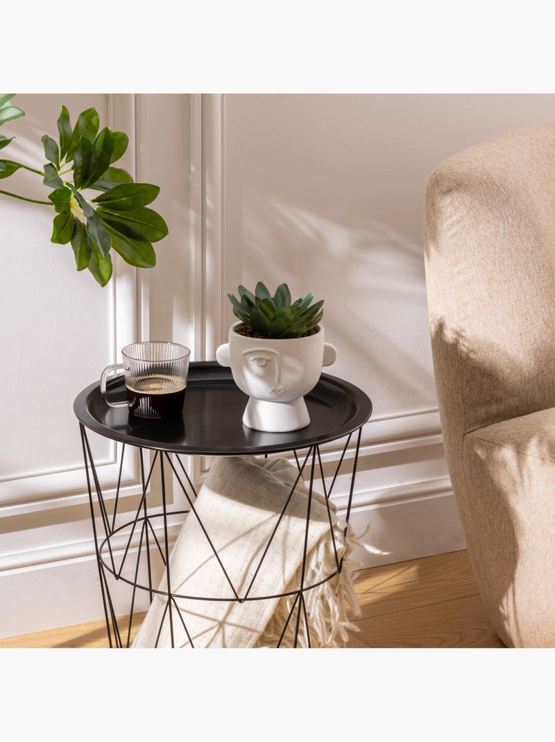 Plante artificielle DUSTY Noir - Kiabi