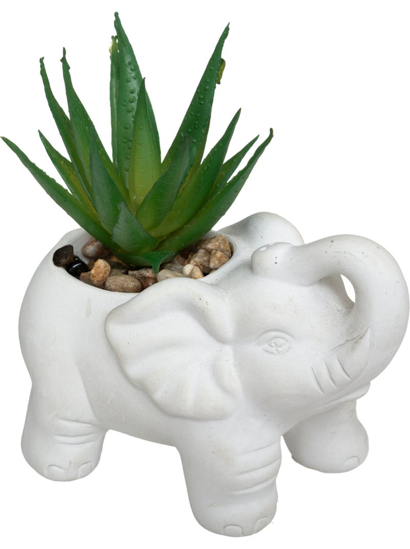 Plante artificielle ÉLÉPHANT Blanc - Kiabi