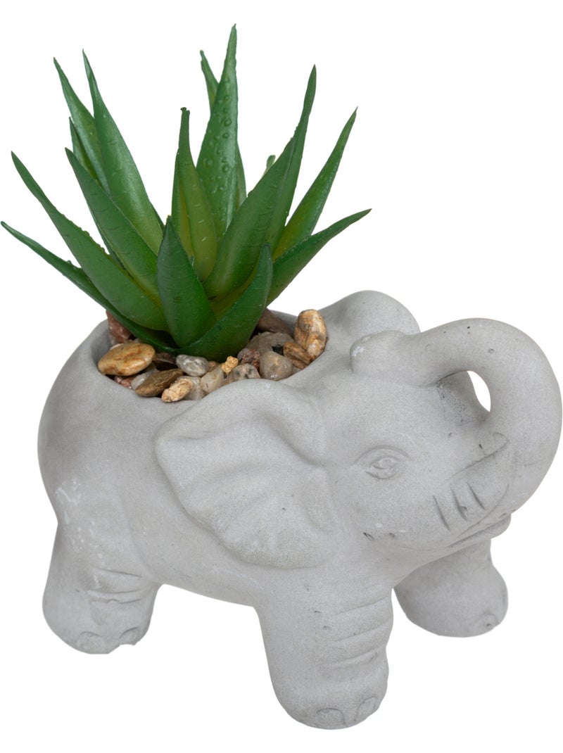 Plante artificielle ÉLÉPHANT Blanc - Kiabi