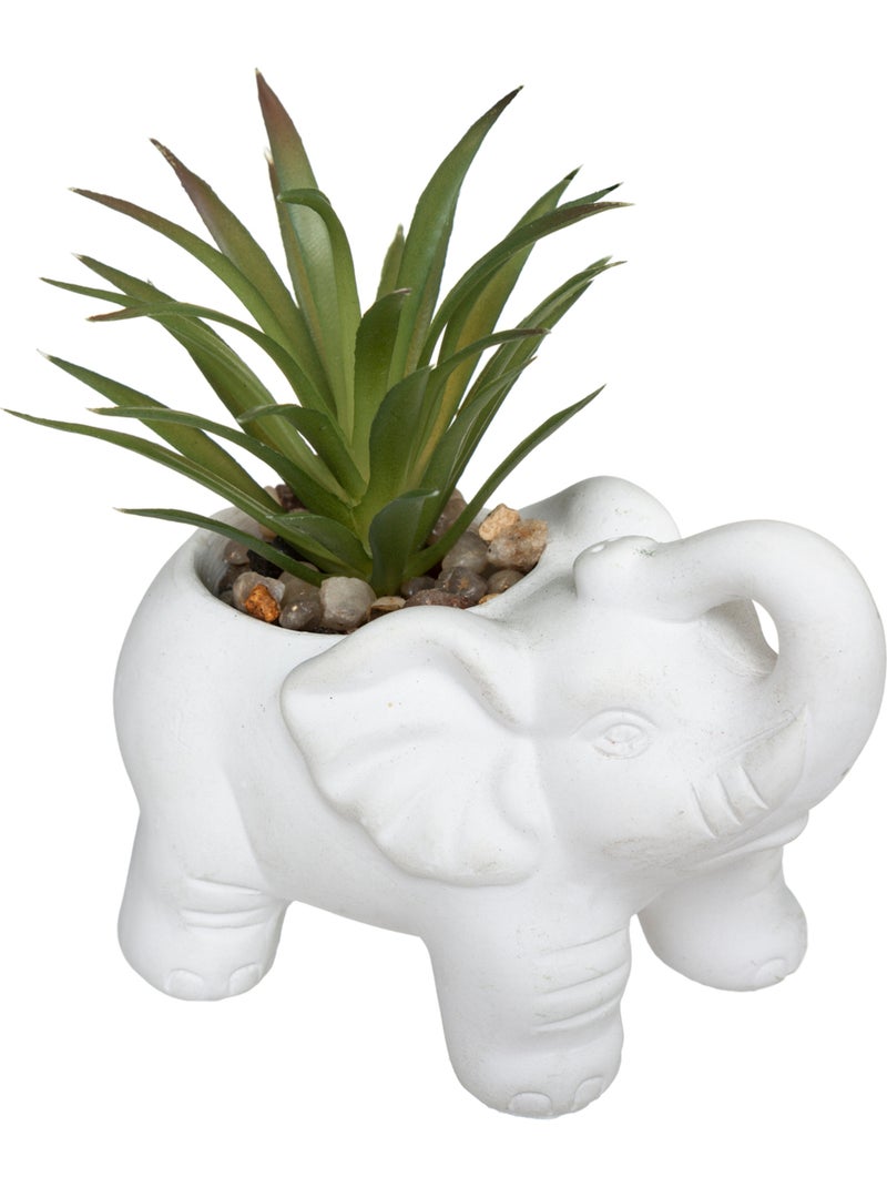 Plante artificielle ÉLÉPHANT Blanc - Kiabi