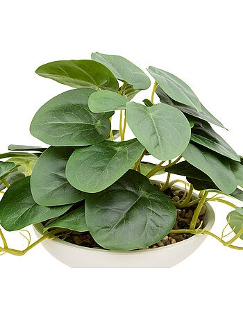 Plante artificielle en pot ciment NIPPO