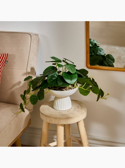 Plante artificielle en pot ciment NIPPO - Kiabi