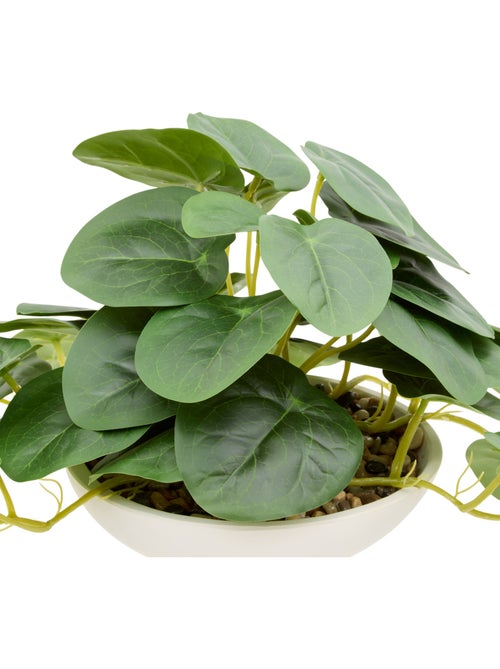 Plante artificielle en pot ciment NIPPO - Kiabi