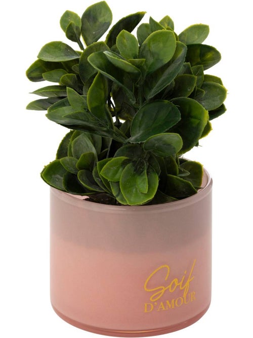 Plante artificielle en pot de verre - Kiabi