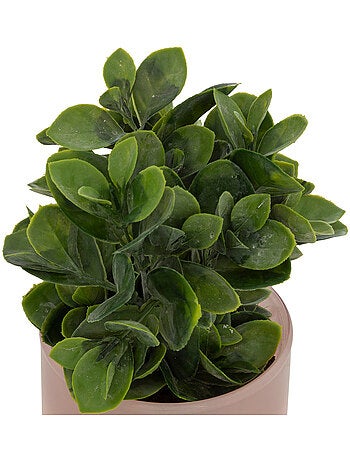 Plante artificielle en pot de verre