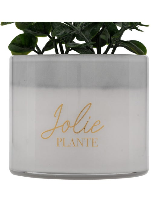 Plante artificielle en pot de verre - Kiabi