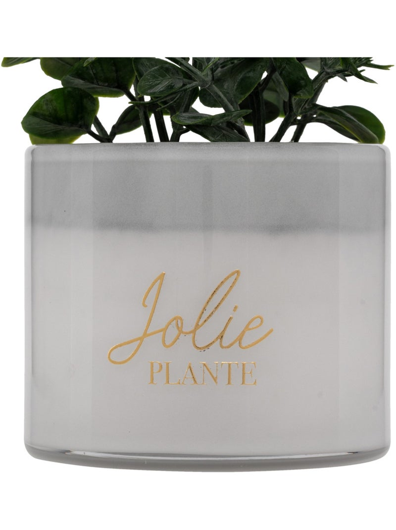 Plante artificielle en pot de verre Multicolore - Kiabi