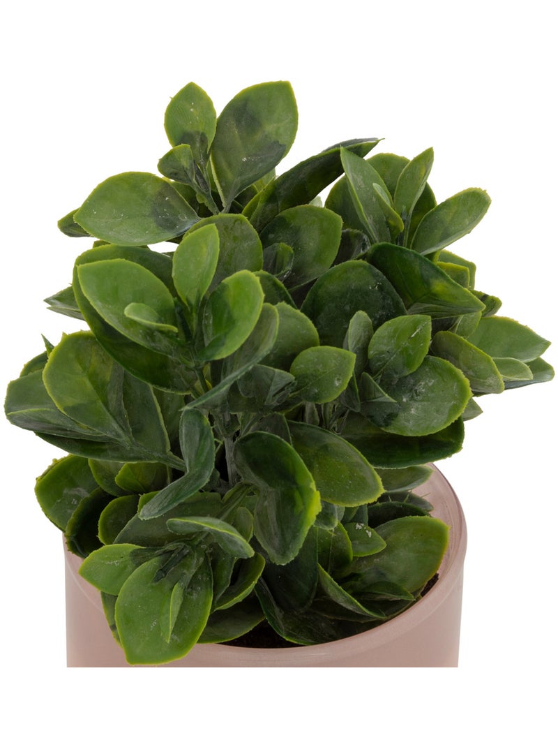Plante artificielle en pot de verre Multicolore - Kiabi
