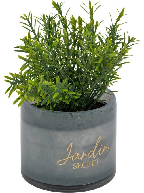 Plante artificielle en pot de verre - Kiabi
