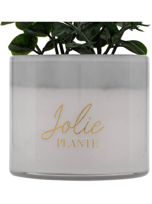 Plante artificielle en pot de verre - Kiabi