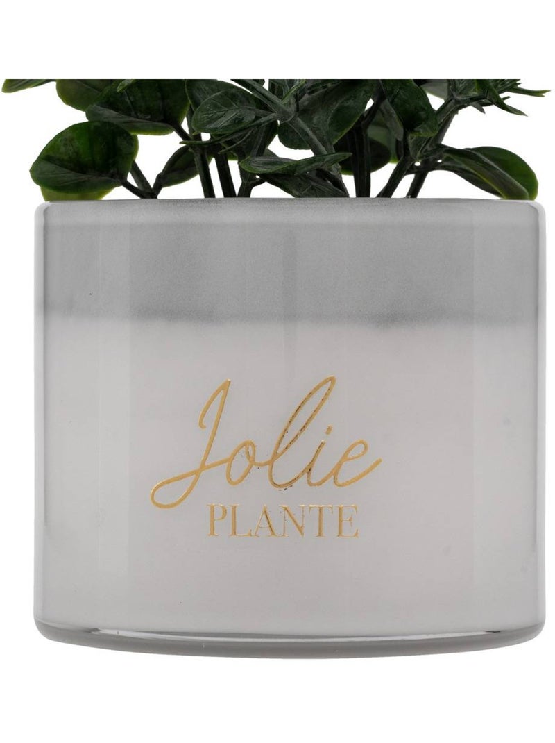 Plante artificielle en pot de verre Noir - Kiabi