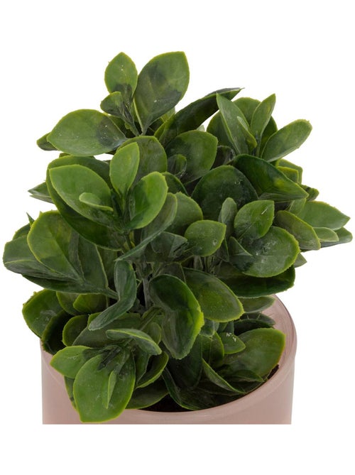 Plante artificielle en pot de verre - Kiabi