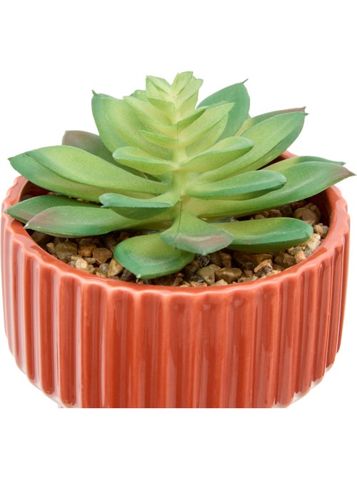 Plante artificielle en pot dolomite NIPPO - Kiabi