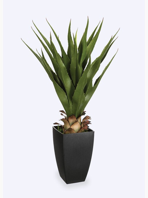 Plante artificielle en pot type agave - AFIBEL - Kiabi