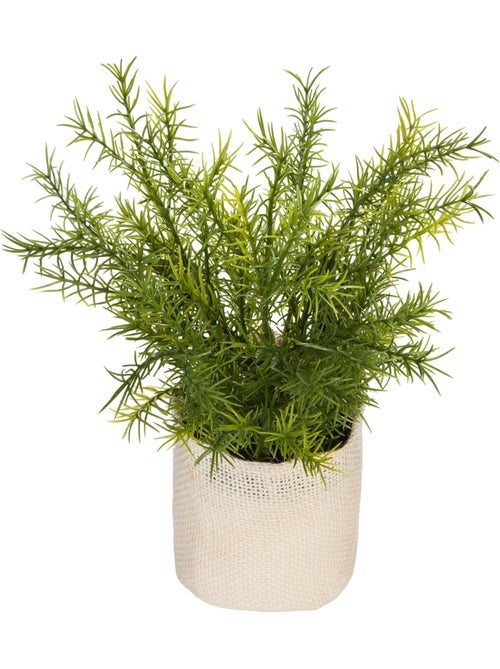 Plante artificielle FACTORY - Kiabi