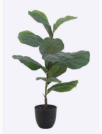 Plante artificielle Figuier lyre + pot - AFIBEL