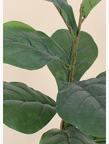 Plante artificielle Figuier lyre + pot - AFIBEL