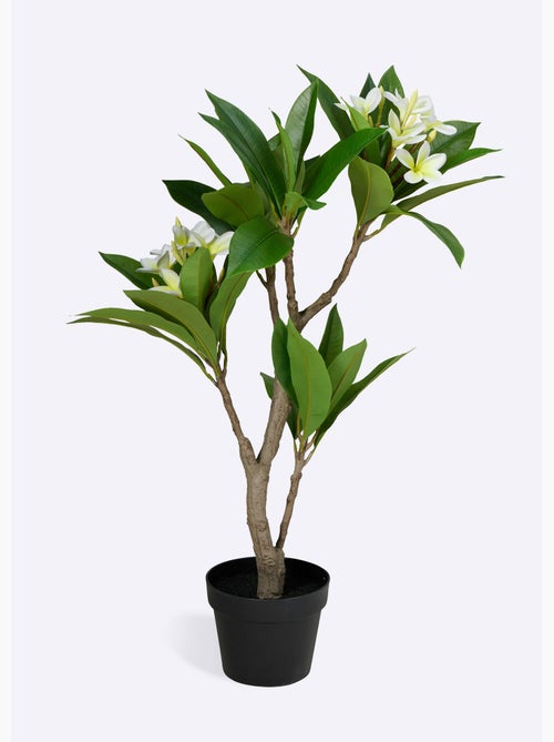 Plante artificielle frangipanier clair - Afibel - Kiabi