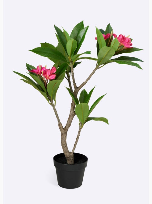 Plante artificielle frangipanier vif - Kiabi Plante artificielle frangipanier vif - Kiabi